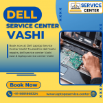 vashi.png